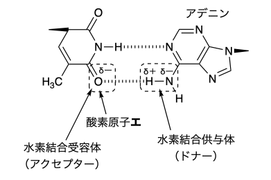 解説画像